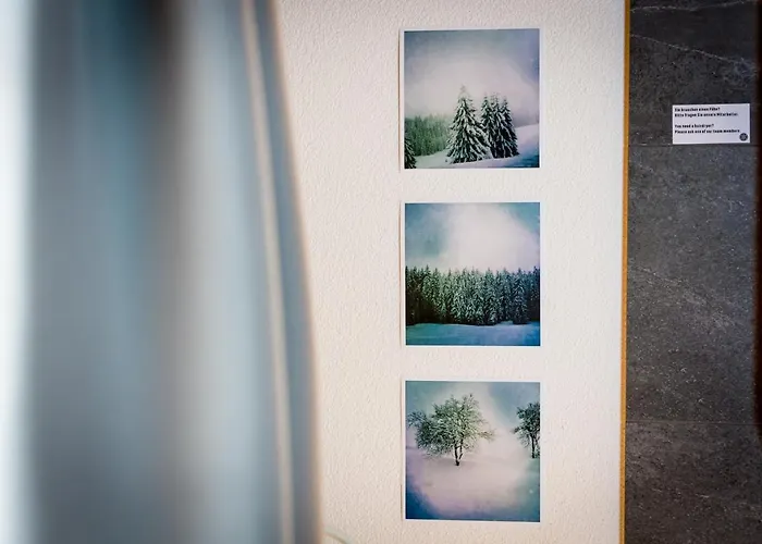 Πανδοχείο Bruenig Kulm Brunig Pass