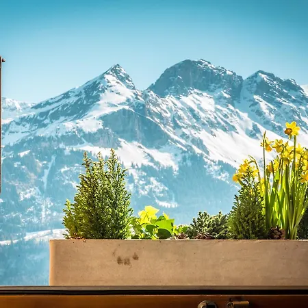 Mini-hôtel Bruenig Kulm